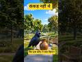 स्मार्ट वर्क vs मेहनत… कौए ने क्या चुना? 🐦⬛😳 #shorts #smartwork