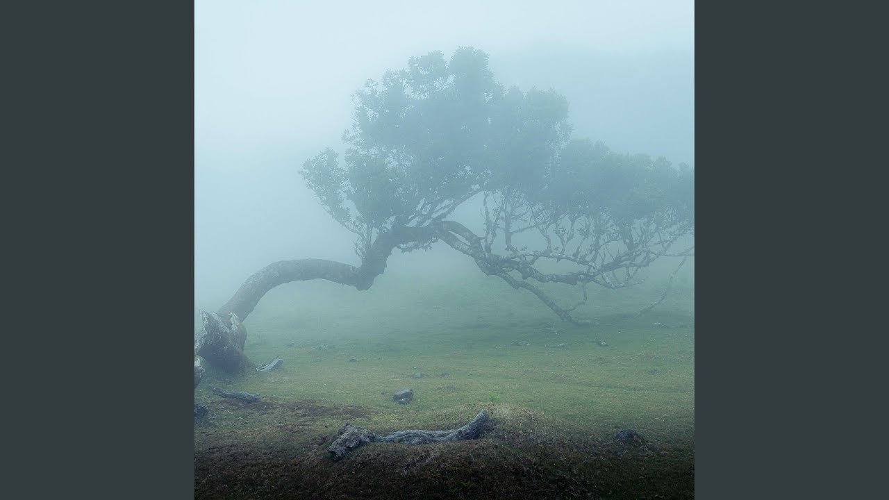 Afternoon Reflection 32