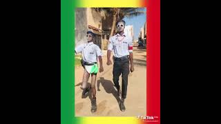 Défilé des anciens combattants du Sénégal 