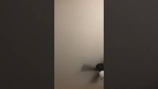 Roy jones Jr Rips Dana white and Zuffa Boxing