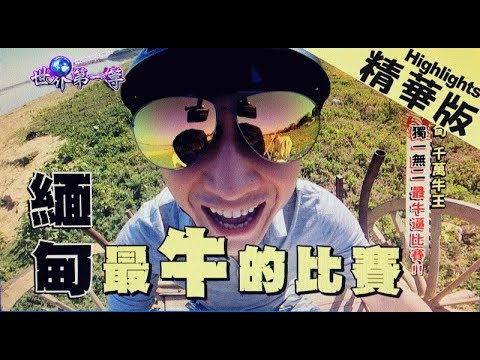 《世界第一等》908集【緬甸】 最"牛"逼比賽--麥克以卵擊石?!! │精彩片段