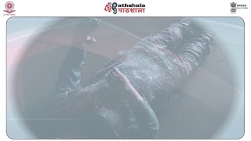 Post-mortem Interval - Part II