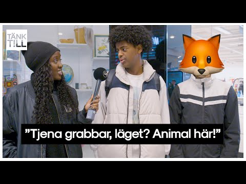 Video: Trend – vad är det?