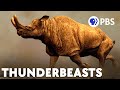 Are Giant Animals Inevitable?