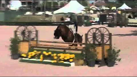 Video of RIGHTEOUS ridden by SUSAN MORICONI from S...
