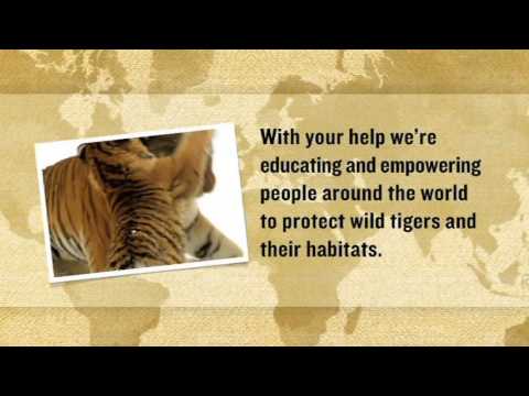 u.s. virgin islands Pennies for Paws