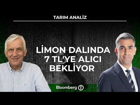 Agricultural Analysis - Lemons Waiting for Buyers at 7 TL on the Branch | September 16, 2026