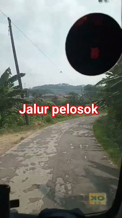 jalur pelosok #dangdutkoplo #dangdut #koplo #cover #salamtigapedal #drivermuda #sopirtruck #shorts