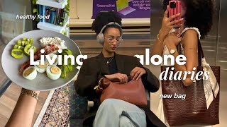 Living Alone Diaries  Bible Study Healthy Meals dji Mic 3 New Bag Responding To Comments U0026 More