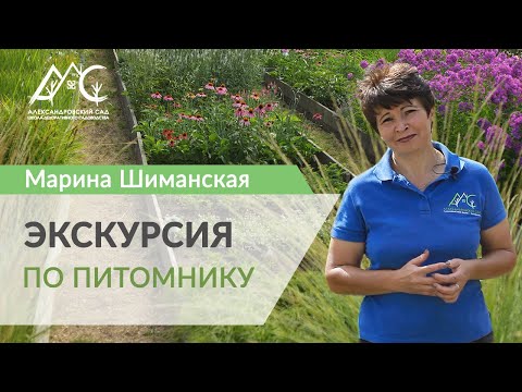 Экскурсия по питомнику декоративных растений