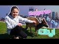 Patting a kangaroo  aussie family fun  family vlog