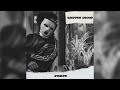 🎧 ALBLAK 52 x FRIENDLY THUG 52 NGG Type Beat - 2052 (prod.Calvere)