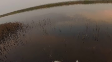 Duck hunting yolo bypass