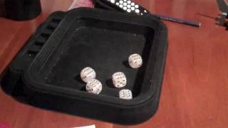Yahtzee on the First Role!