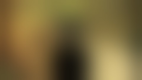 Дом по госу samp-rp 01 ПК