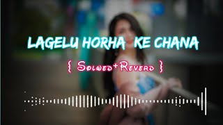 #bhojpuri #lofi #bhojpurisong #slowedreverb  || Song _- Lagelu Horha Ke Chana || #khesari Lal