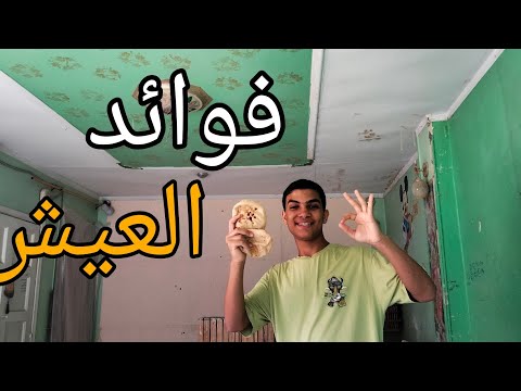فوائد العيش للحمام وطريقة استخدامه وأضرارها