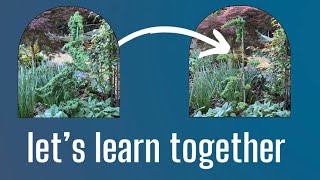 Niwaki Pruning - Growing Up and Training a Dwarf Garden Juniper + cloud tree pruning