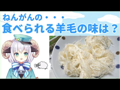 【みちくさ日記】念願の……食べられる羊毛の味は？！🐏🐑【Vtuber】