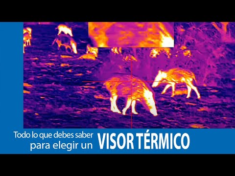 Video: Miras termográficas: características y recomendaciones para elegir