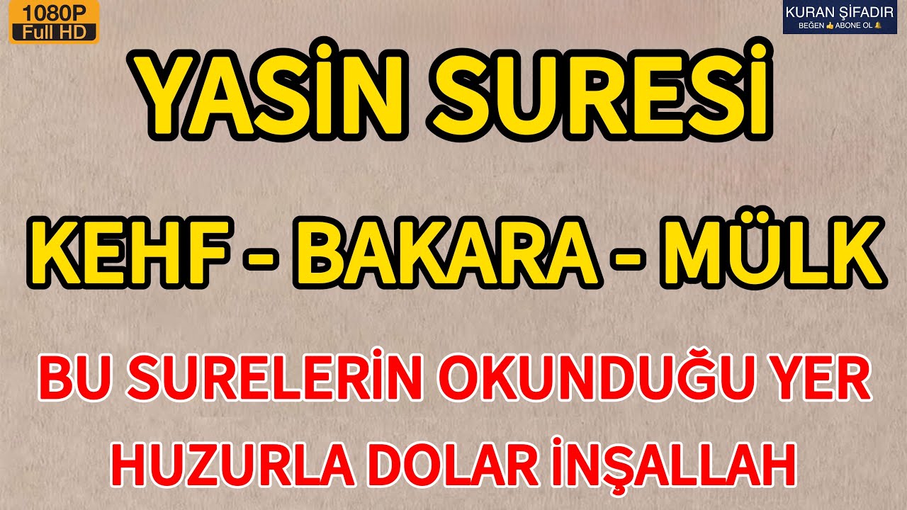 Yasin Suresi - Kehf Suresi - Bakara Suresi ve Mülk Suresi - Bu Surelerin Okunduğu Yer Huzurlu Olur🤲🏻