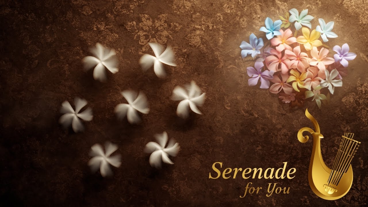 sevgiliye serenat - yakaris