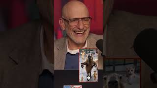 Animals Dancing to Chinese Song