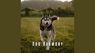 Peaceful Paw Symphony
