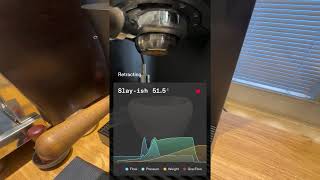 Meticulous, Slayer shot, super light roast