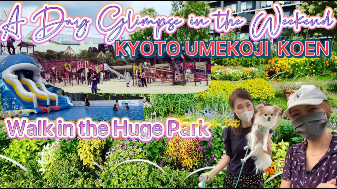 A Day Glimpse Life Weekend 京都梅小路公園huge Kyoto Umekoji Koen Park 京都 鉄道博物館 京都水族館 Tatskie Youtube A Day Glimpse Life Weekend 京都梅小路公園huge Kyoto Umekoji Koen Park 京都 鉄道博物館 京都水族館 Tatskie Youtube