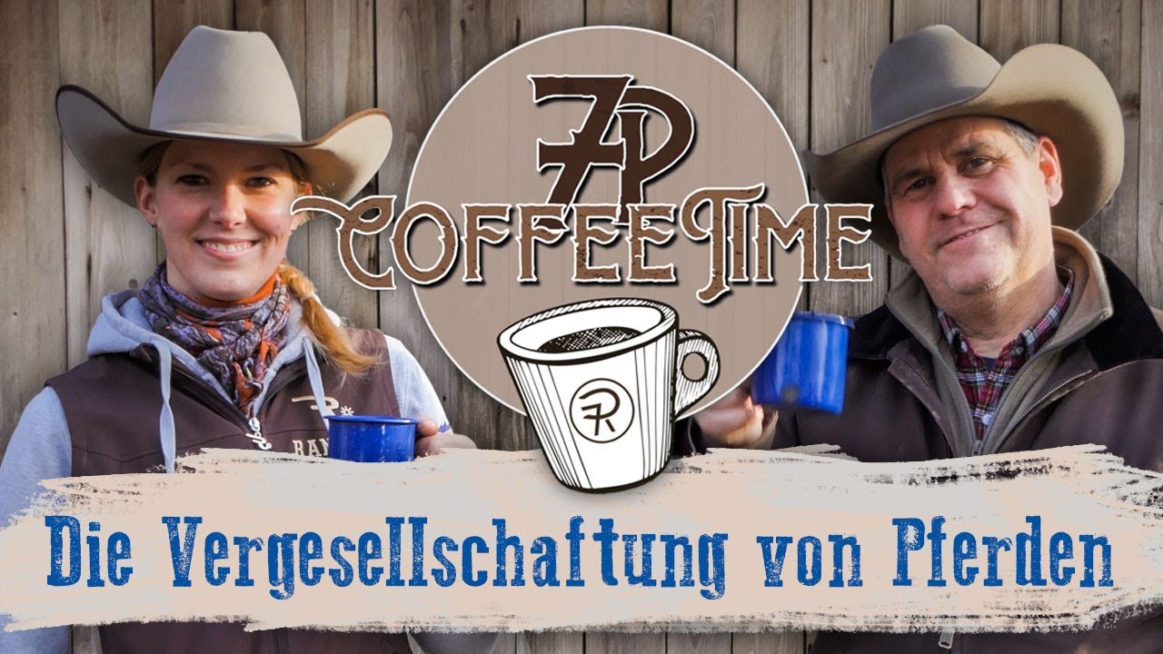 Die Vergesellschaftung von Pferden | 7P CoffeeTime ☕