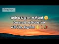 Adara wadan| love quotes| wadan | කතාව ඇත්ත නම් කමෙන්ට් කරන්න🥺🥀 #wadan