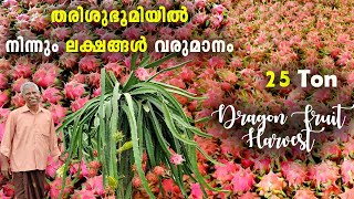 Dragon Fruit cultivation in India ||Dragon fruit Farming and Harvest || Farm india || Edensflora