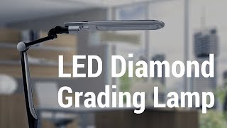 LED Daylight Diamond Jeweler's Lamp by Electrix Light