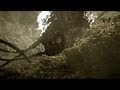 War of the Worlds The True Story TVspot - Oscar®Contender ON DVD & ON DEMAND!