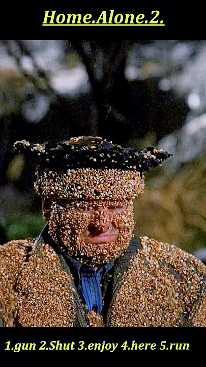 Home Alone 2: Lost in New York (1992) | When Birds Attack — Wet Bandits Become Bird Food! 🐦😂