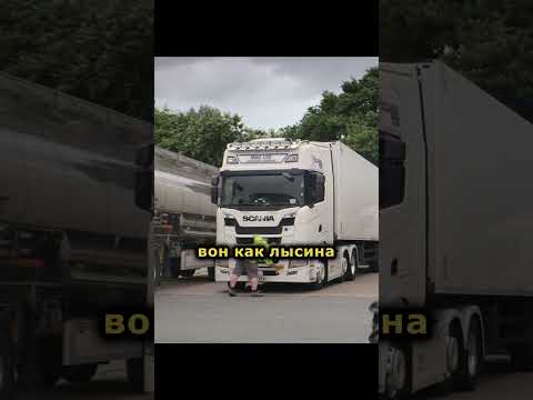 Не хочет с грязным дальнобойщиком #shorts #short #brassic #голяк #кино #фильм #фильмы #сериалы #юмор
