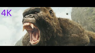 A gorilla guards a mysterious island - Kong: Skull Island Full Version