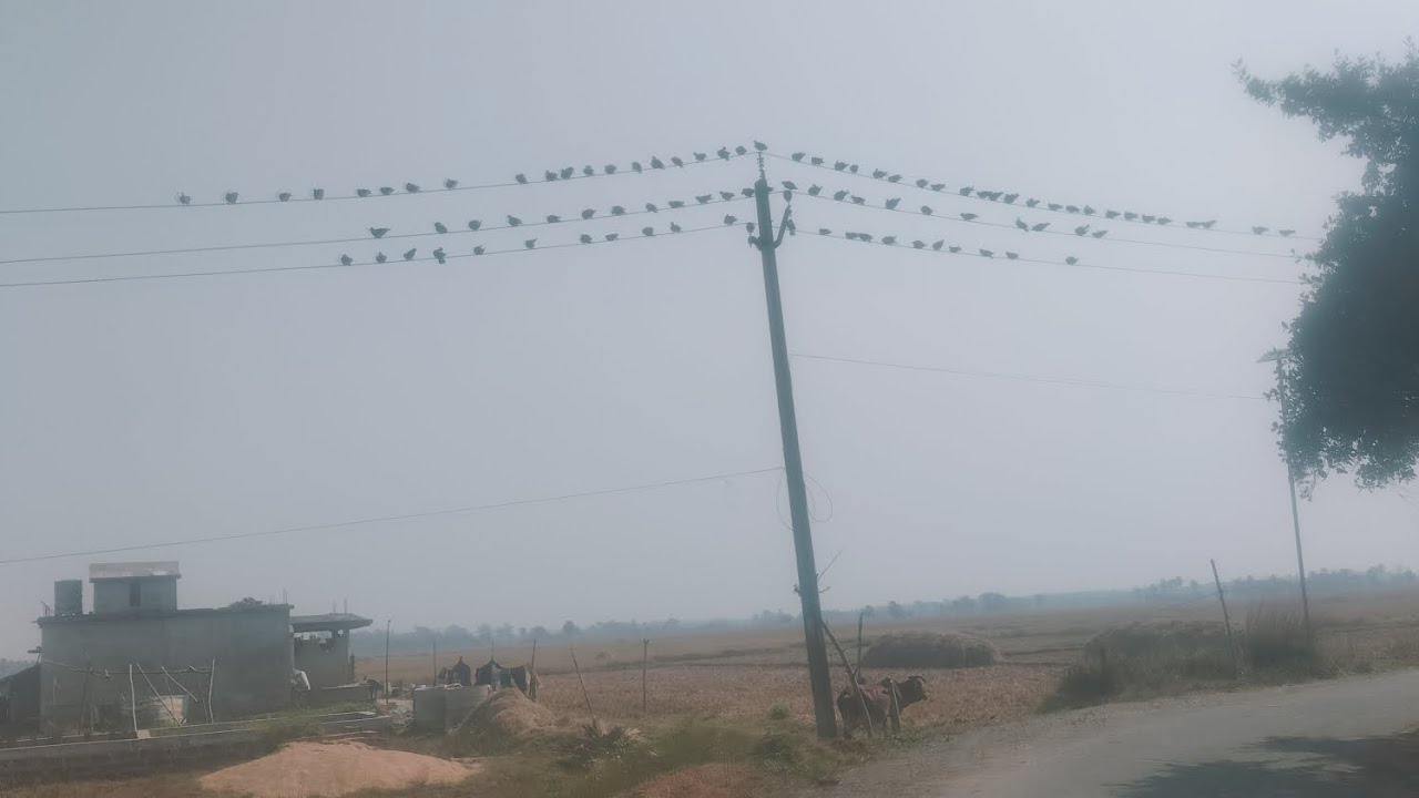 ଗୁଣ୍ଡଳବା ଅସ୍ତରଙ୍ଗ (ପୁରୀ)📍 ଇଂରେଜ ଅମଳରେ ହେଇଥିବା ଘର gost point 👻💀