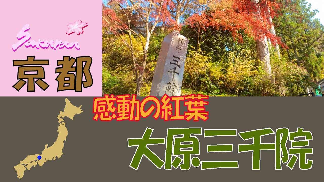 【感動の紅葉☆大原三千院/京都】 圧巻の日本庭園がありました。深緑色の苔と青い空と朱や山吹色の紅葉が見事なコントラストをなしています。閑静な大原の里で心静かなひとときを過ごす。是非お出かけください。