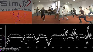Markerless Motion Capture of Multiple Characters - Simi Shape
