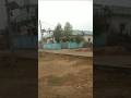Audio 