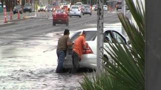 Cats Do Not Like Water Catdrivers.com