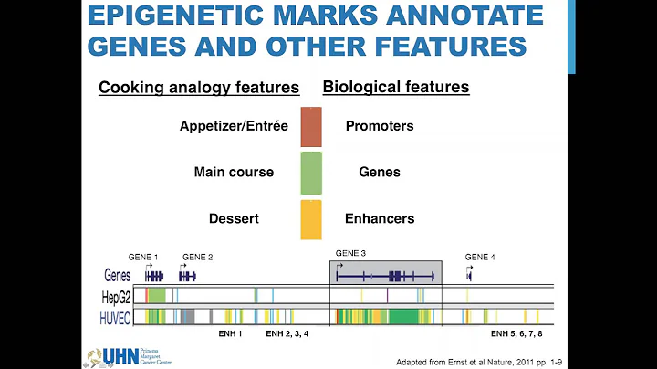 Expert Angle: Deciphering mutations in prostate cancer through epigenetics with Dr. Lupien