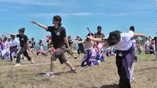 よさこい 2012 南中ソーラン大会（よさこいエイサー琉球王）