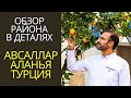 ДЕТАЛЬНЫЙ РАЗБОР РАЙОНА АВСАЛЛАР/АЛАНЬЯ/ТУРЦИЯ 2020