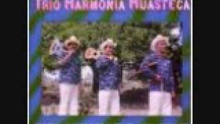 EL TORO REQUESON ARMONIA HUASTECA chords