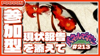 【#パネルでポン】8ヶ月ぶりのテスト＆現状報告回【#参加型】