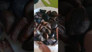 Готовый Каольский чеснок