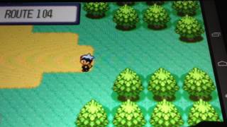 How to get all the starters in Pokemon sun ruby